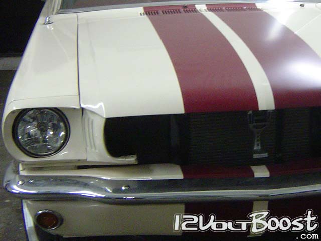 Ford_Mustang_66_HardTop_Burgundy_Stripes_Icon.jpg